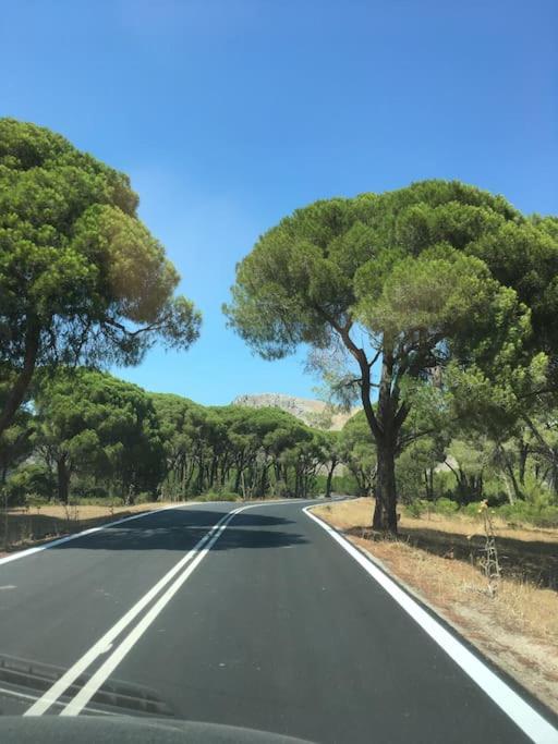 Villa Anastasia! in STROFYLIA pine FOREST!!! - Housity