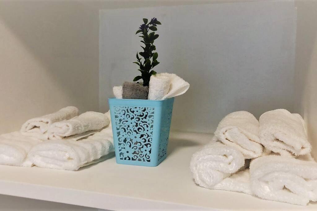 Lovely 1 Bedroom Apartment w/private Parking - Housity