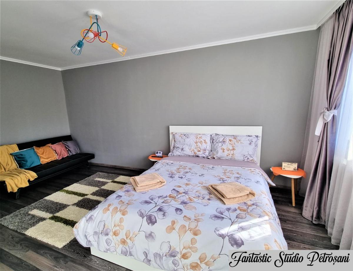 ~Fantastic Studio Petroșani~ - Housity
