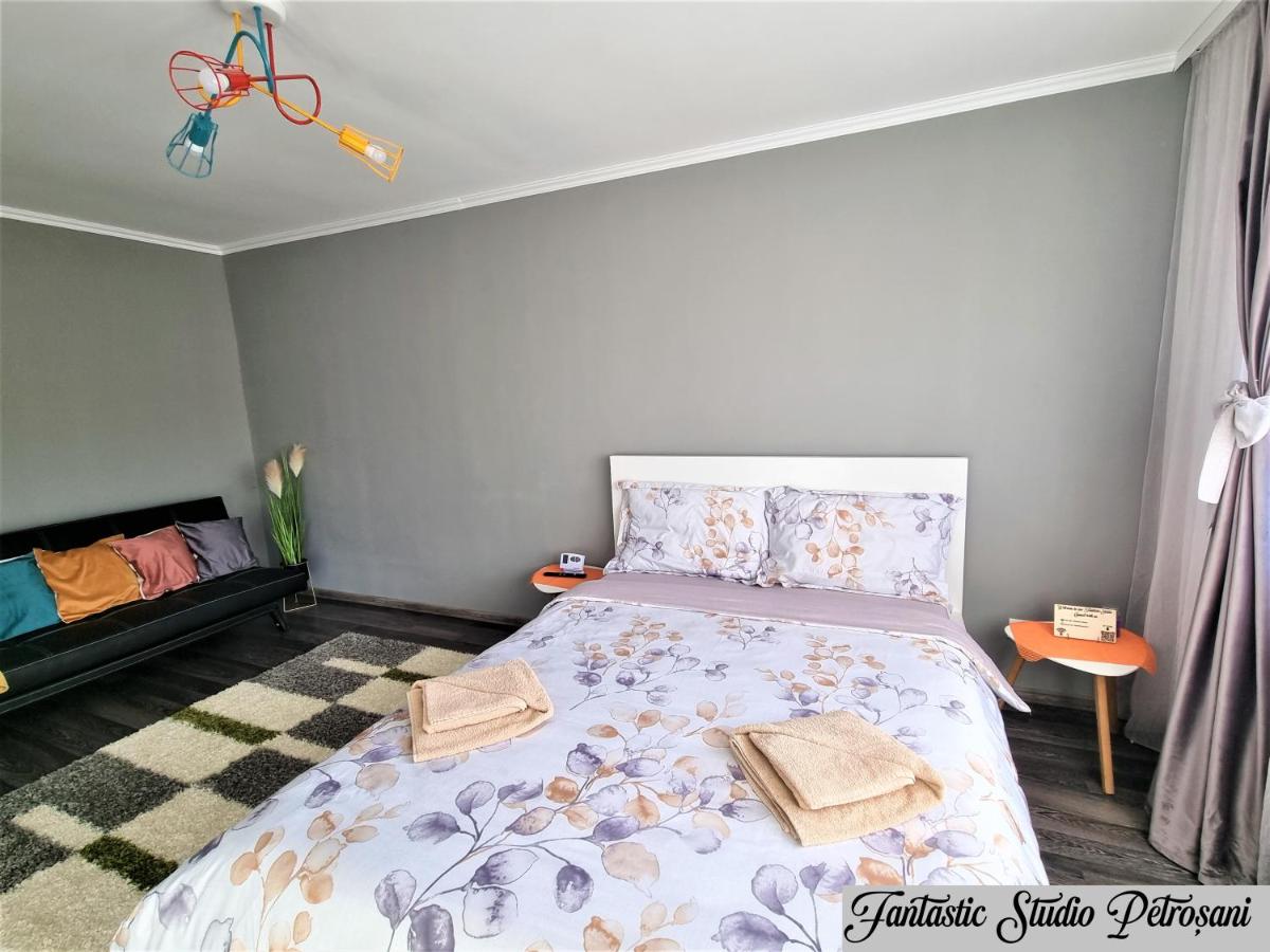 ~Fantastic Studio Petroșani~ - Housity