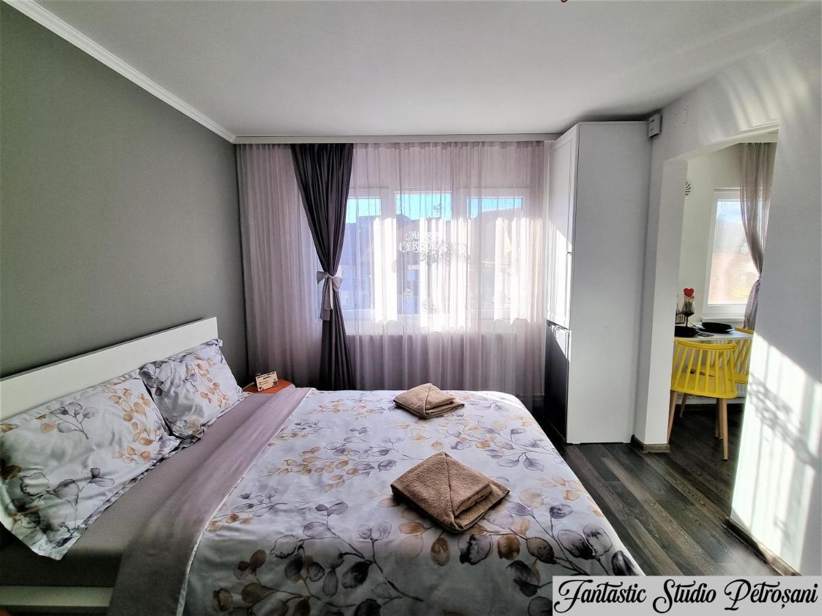 ~Fantastic Studio Petroșani~ - Housity