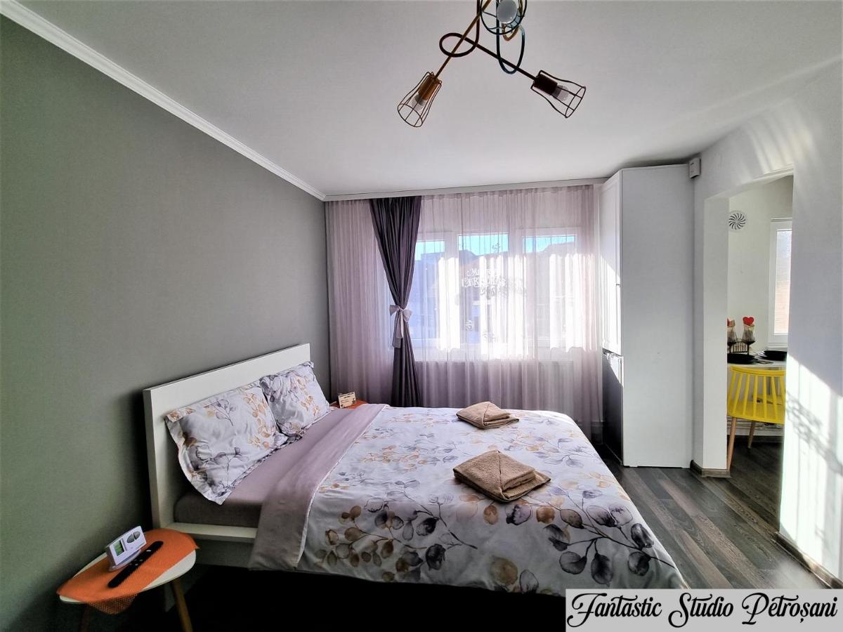 ~Fantastic Studio Petroșani~ - Housity