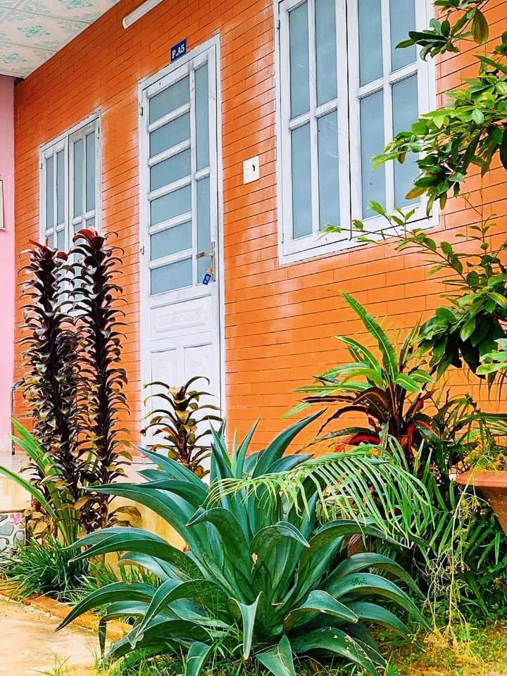 Nam Cat Tien Homestay - Housity