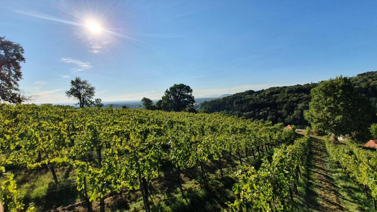 Weingut & Ferienwohnungen Lenhard - Housity