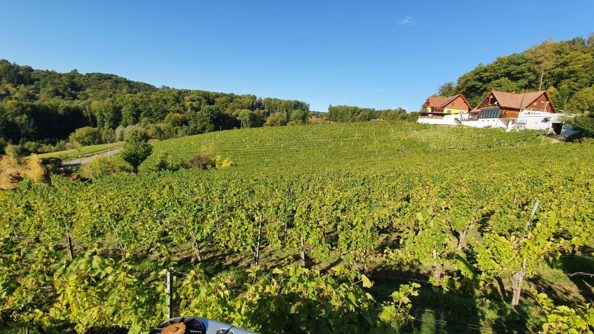 Weingut & Ferienwohnungen Lenhard - Housity