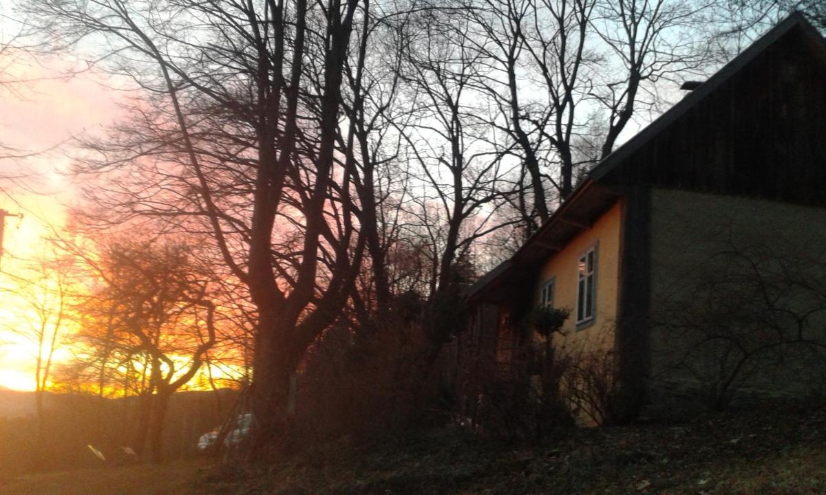 Leśny Domek - Housity