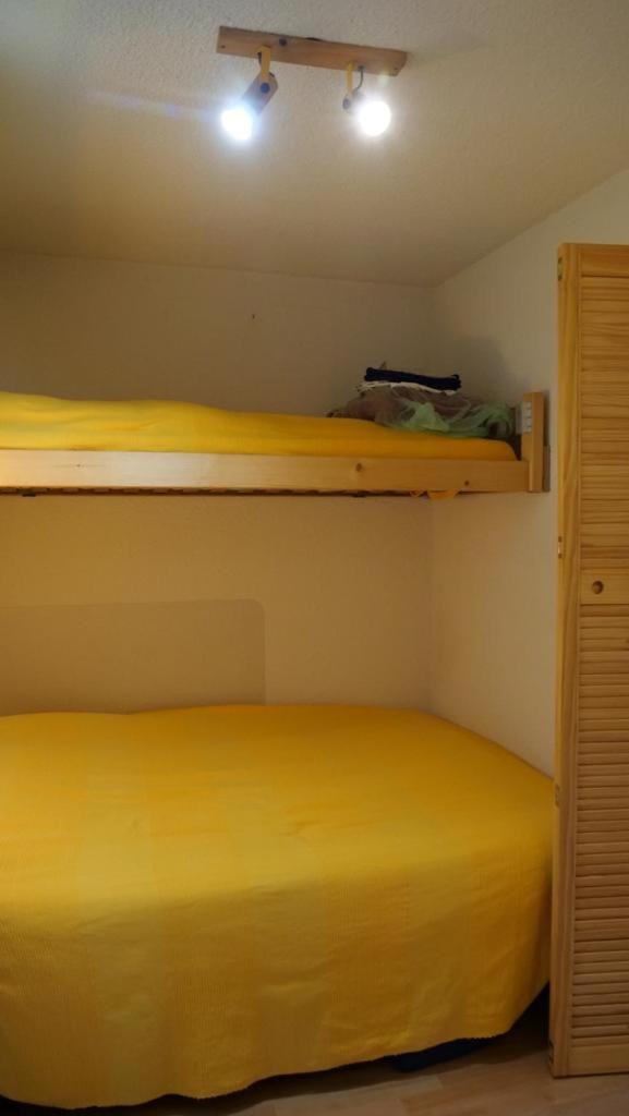 Suitetrails - appartement dans Residence du Roche Mantel -alpes huez face a l'AlpExpress