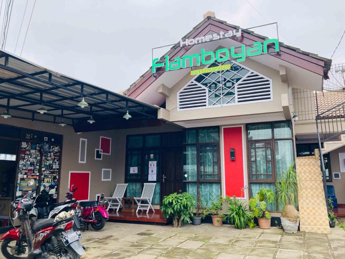 Flamboyan Homestay 1 Dieng Syariah RedPartner - Housity