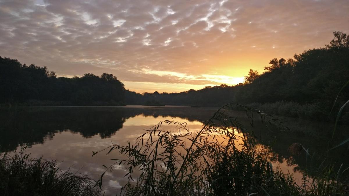 Suitetrails - chez Domi Syl gite nature