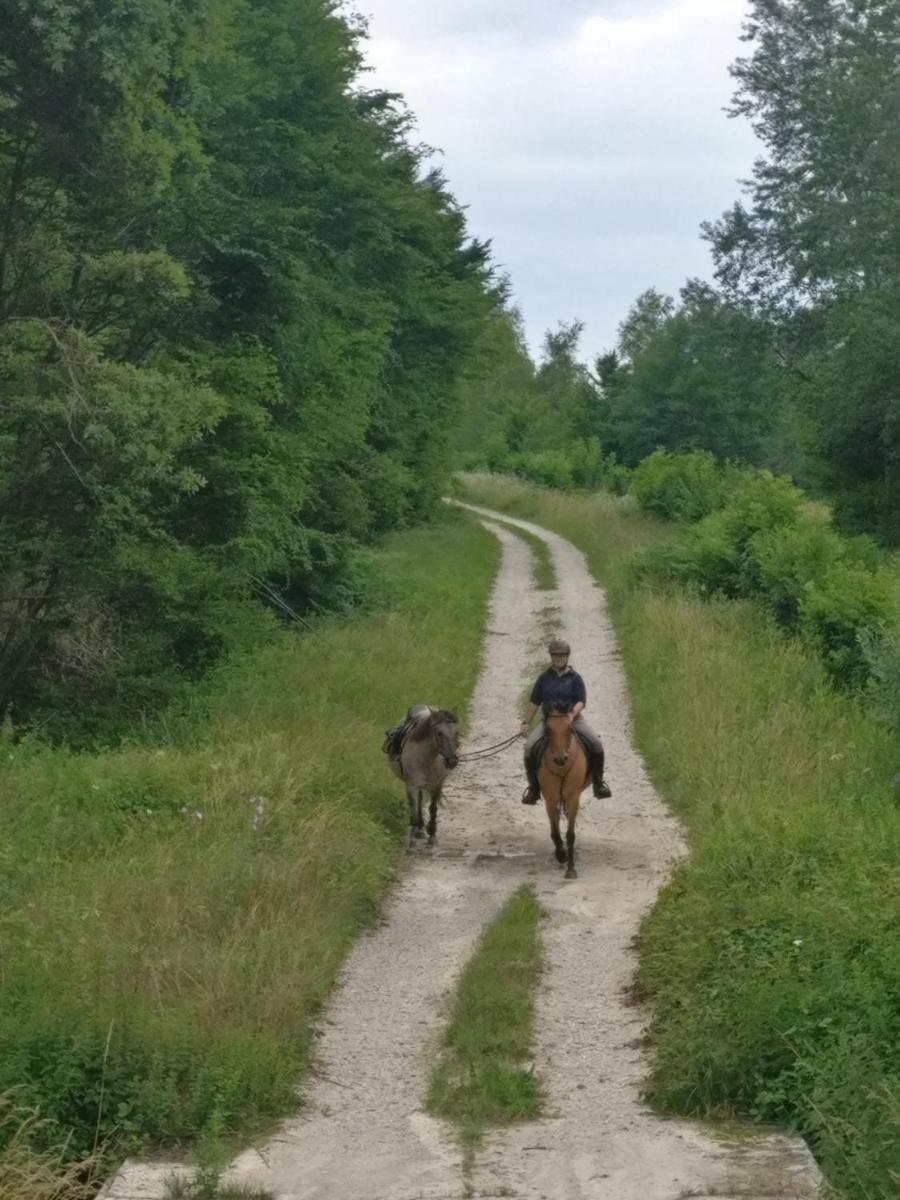 Suitetrails - chez Domi Syl gite nature