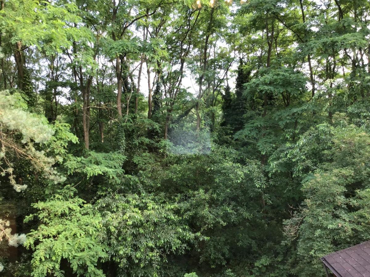 Charming house in the woods with private wellness - Housity