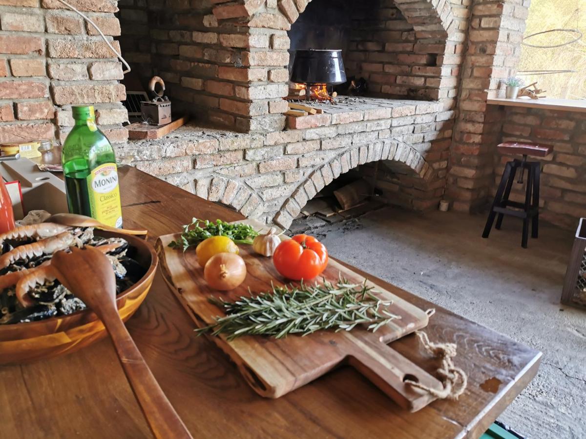 Kuća za odmor Bakina Divljaka - Housity