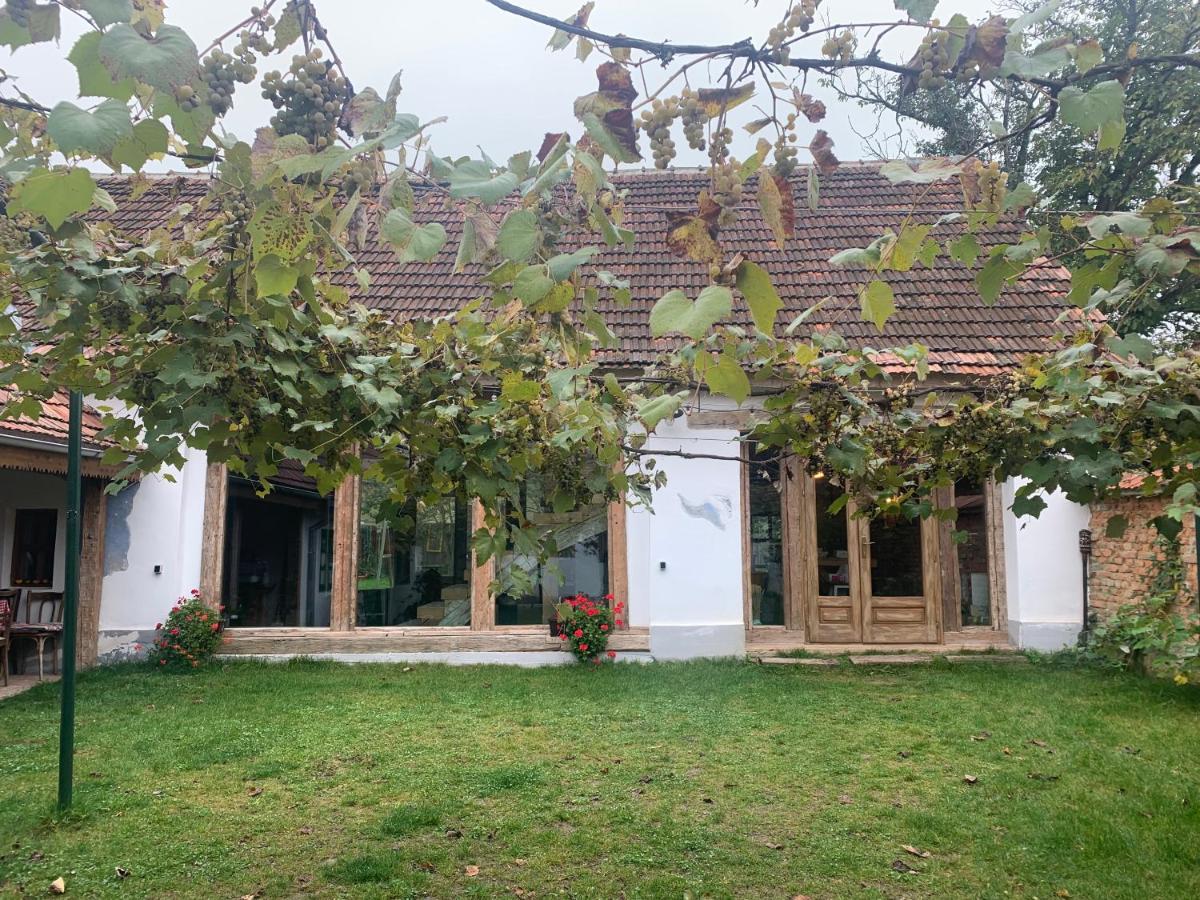 Sura din Joseni - Housity