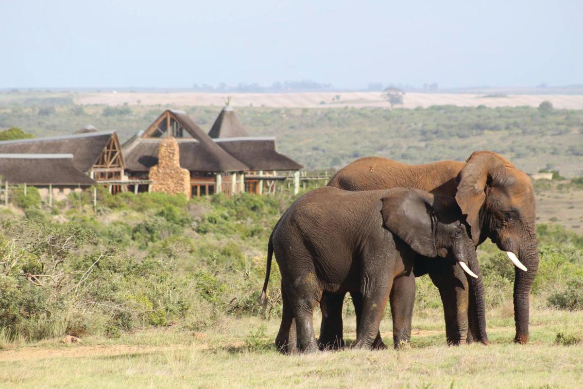 Garden Route Game Lodge - Housity