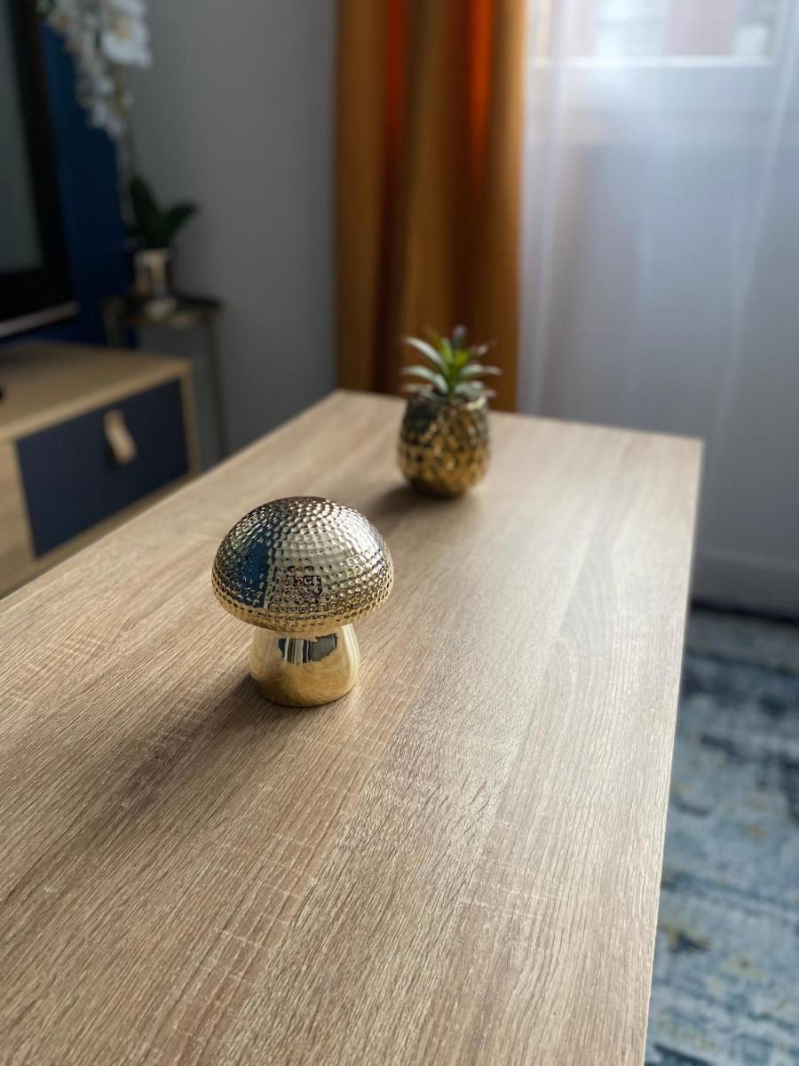 Superbe T2 style scandinave - Housity