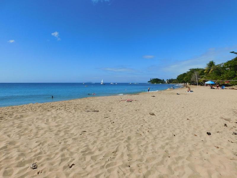 Seashore Condo - Housity
