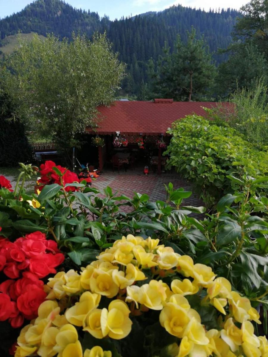 Flori de Bucovina - Housity