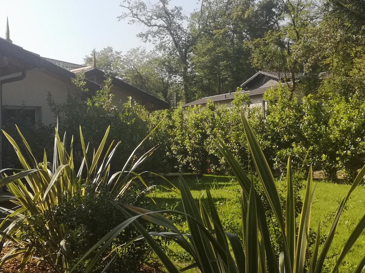 Cabane chic et romantique SEMILLON près de Bordeaux - Housity
