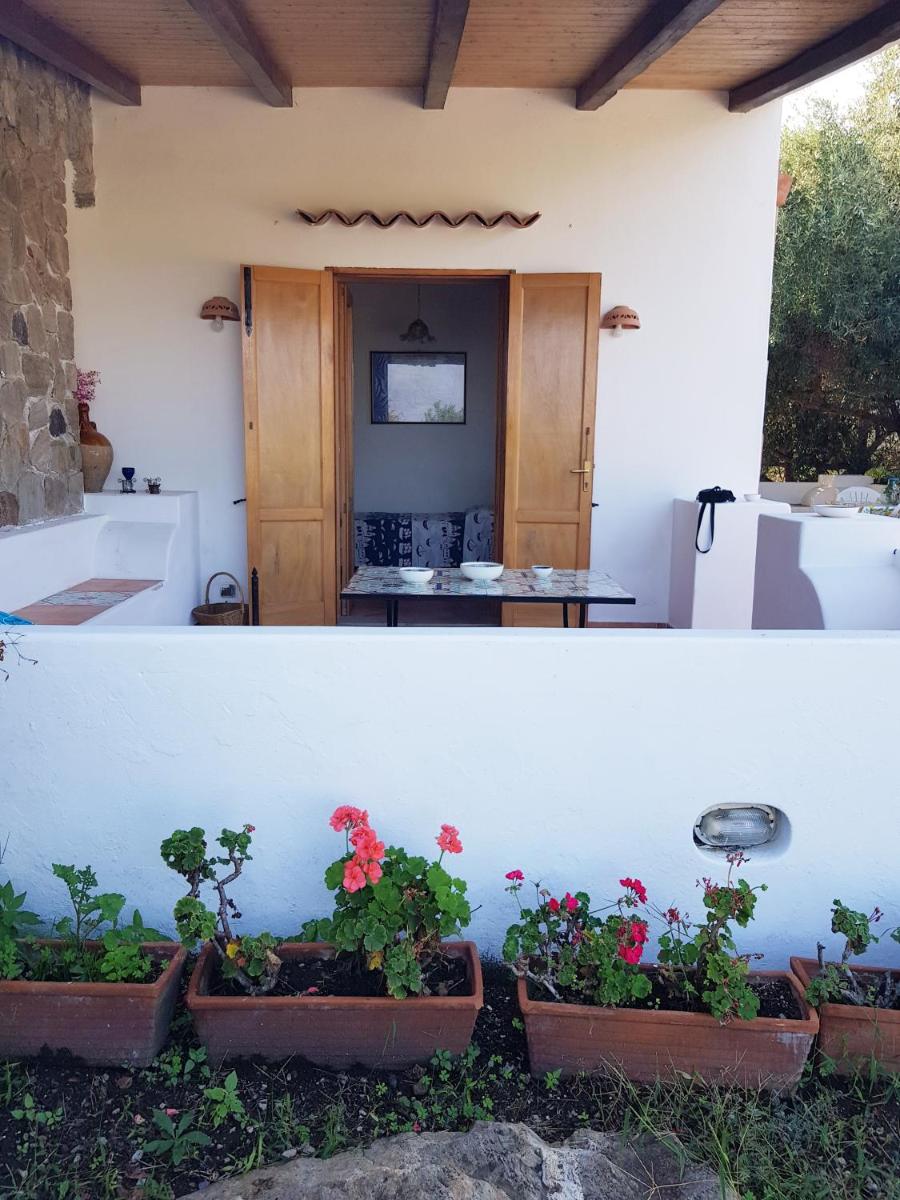 VILLA AURA - Housity