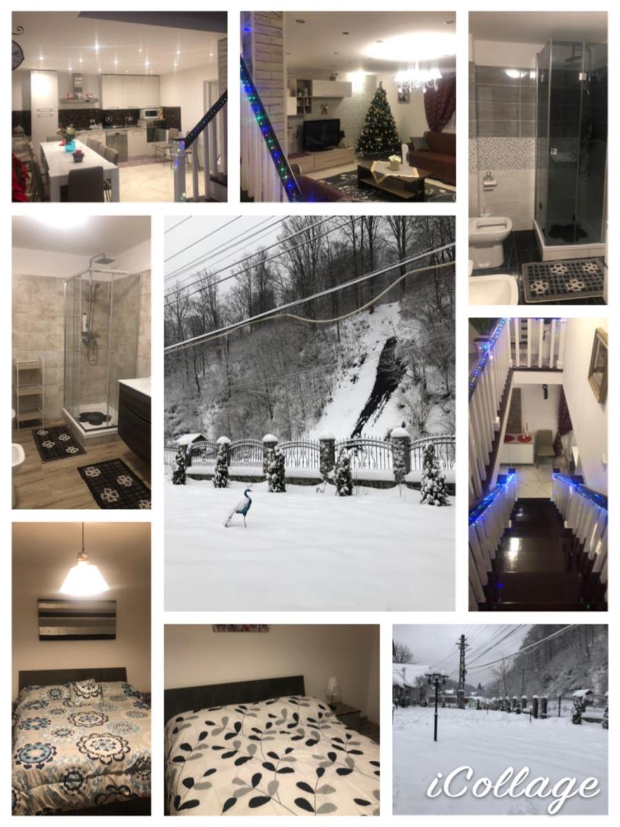Cabana La Izvor - Housity