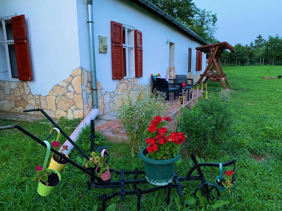 Tiszai Fenyves Apartman - Housity