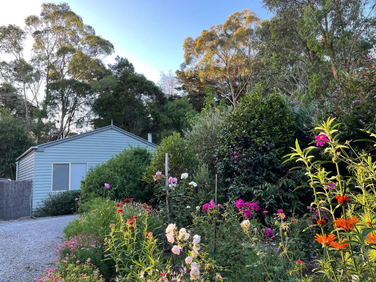 Tindoona Cottages - Housity