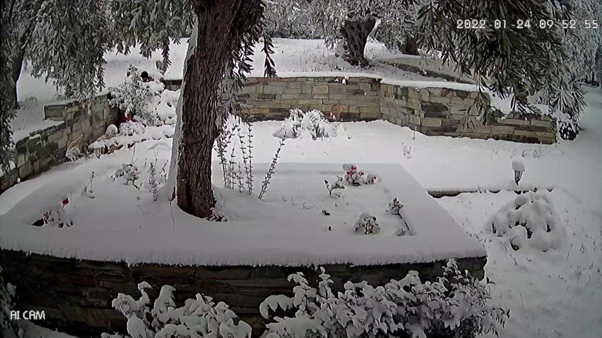 villa Belian 3 - Housity