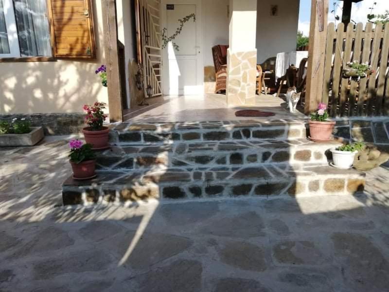 Cozy 1 Bed Cottage in Ognen near Karnobat Burgas - Housity