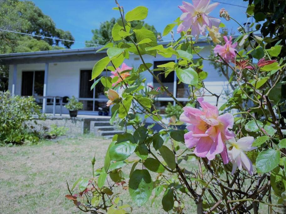 Apollo bay Holiday House - Housity