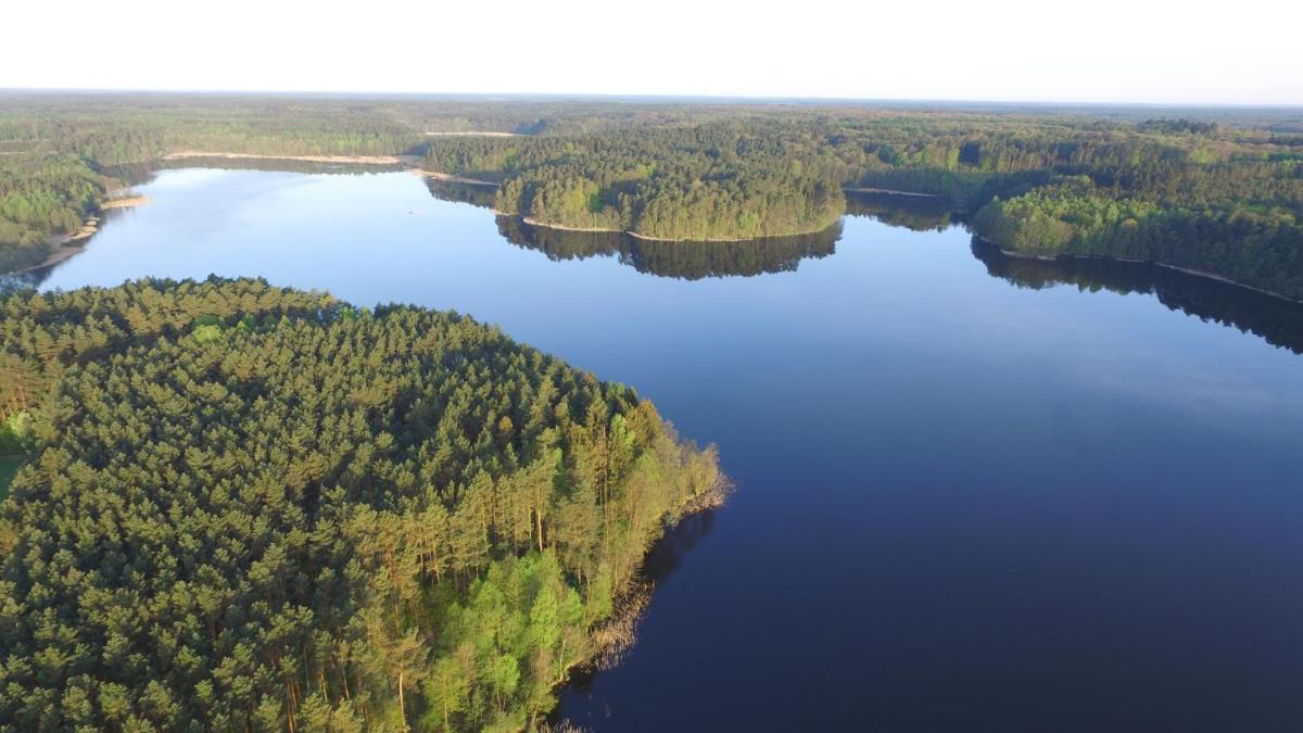 Dolina Muminków - Housity