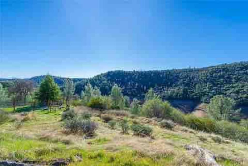 4 Acre Lakehouse with Huge Deck - Housity