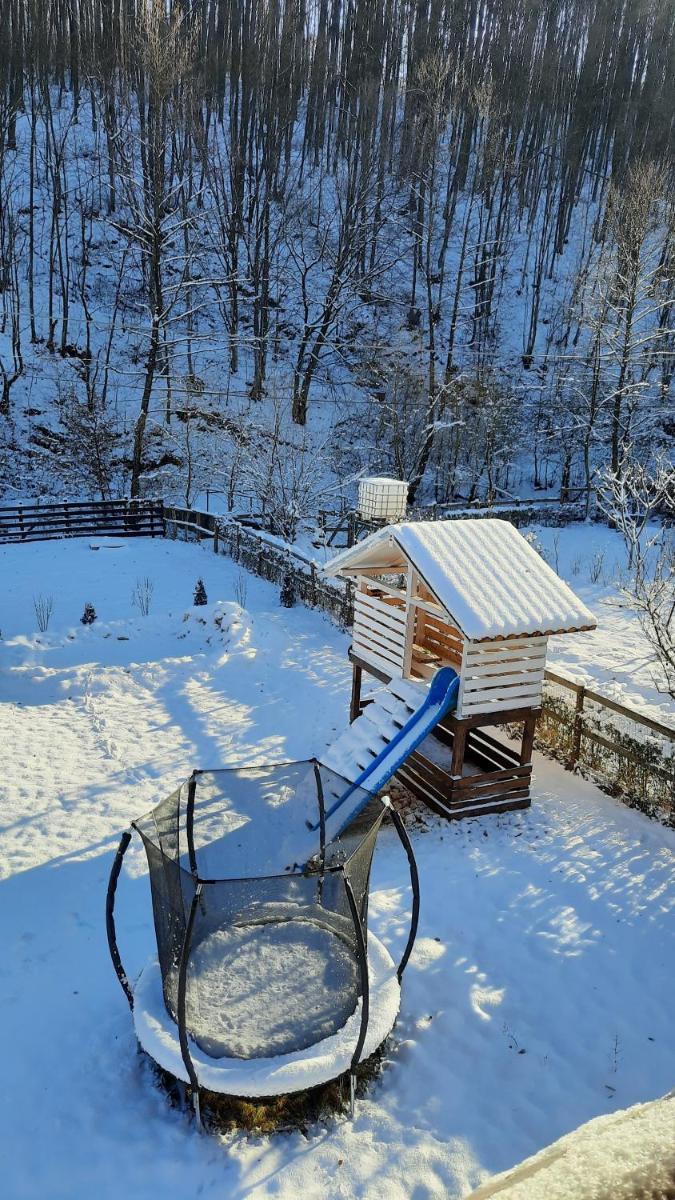 Cabana Bu?teni Apuseni Eco din Podele - Housity