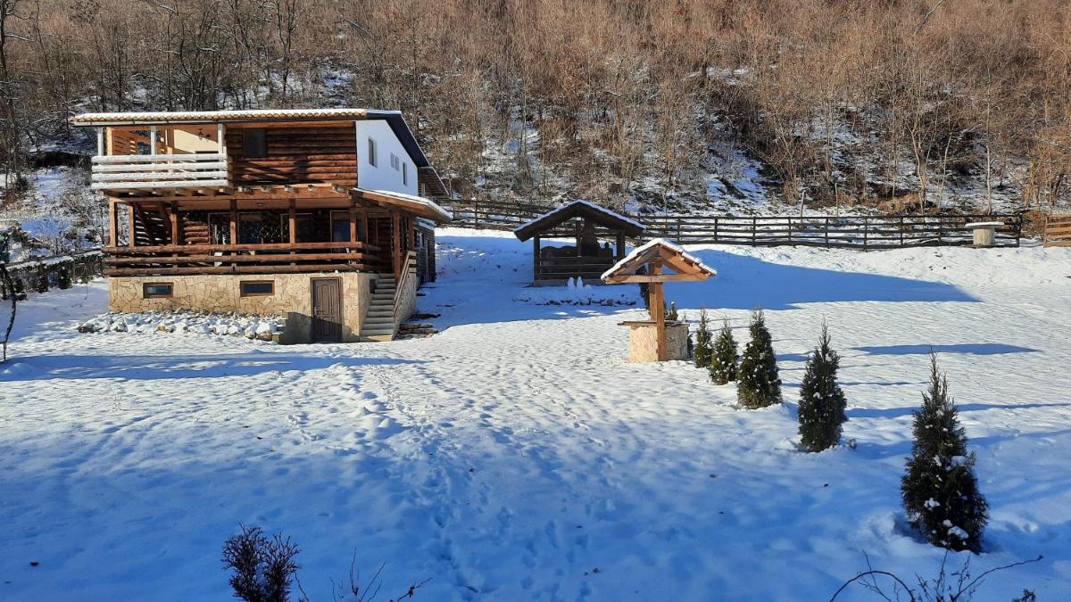 Cabana Bu?teni Apuseni Eco din Podele - Housity
