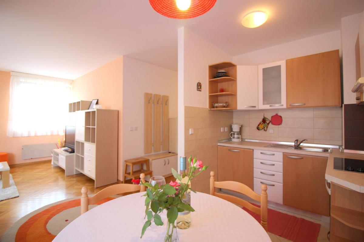 Apartment Vojka in city center - Hizvo