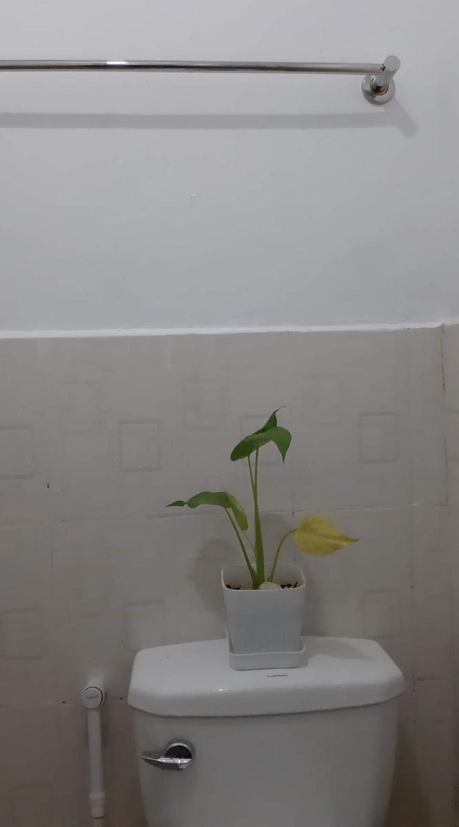 Casa Erelle -1 Bedroom guest house #2 - Housity