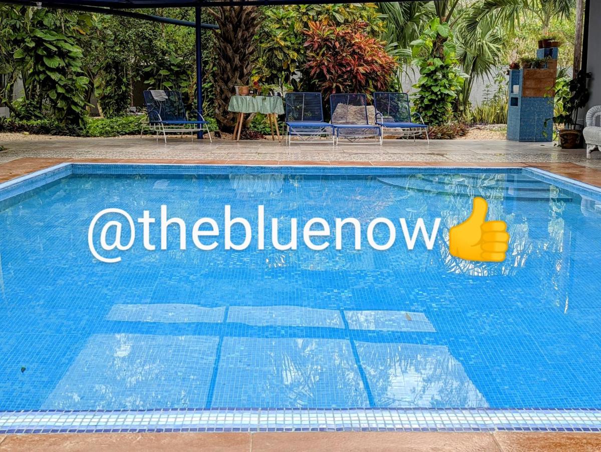 "The Blue" eco lodge - Housity