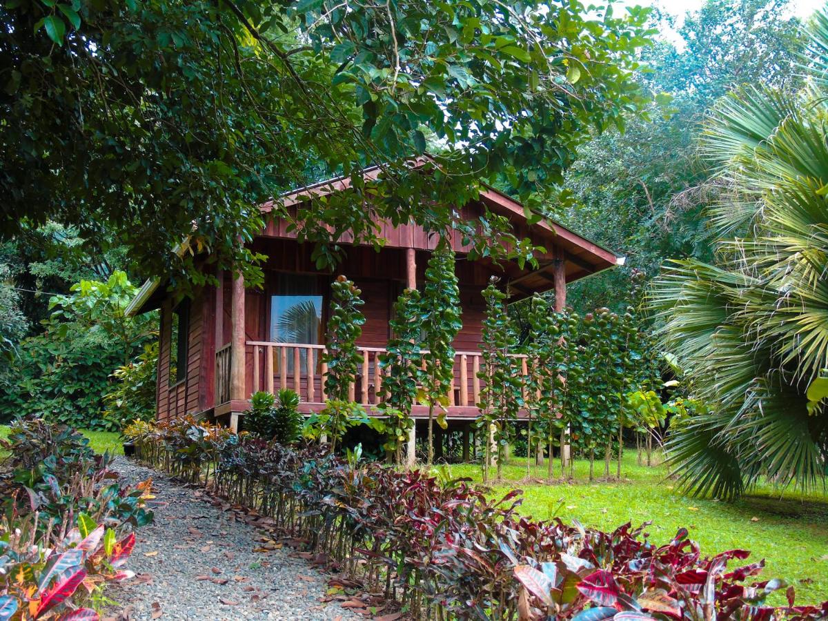 Cataratas Bijagua Lodge, incluye tour autoguiado Bijagua Waterfalls Hike - Housity