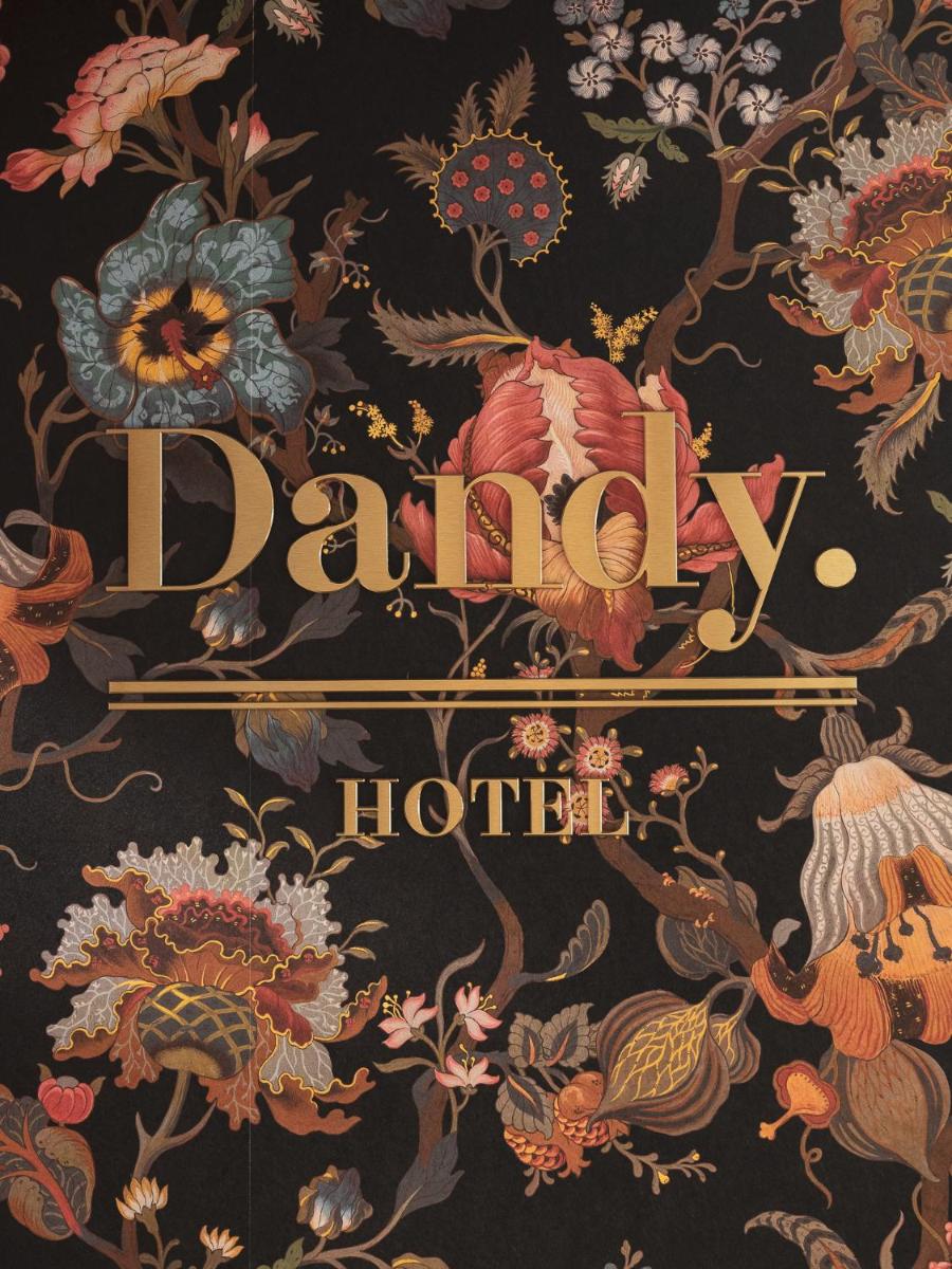 Photo de la galerie de l'établissement Dandy Hotel, à Paris