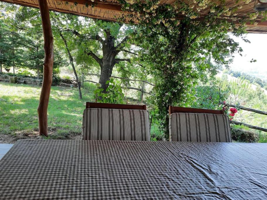 Perfect Natural Retreat With Large Pool - Housity