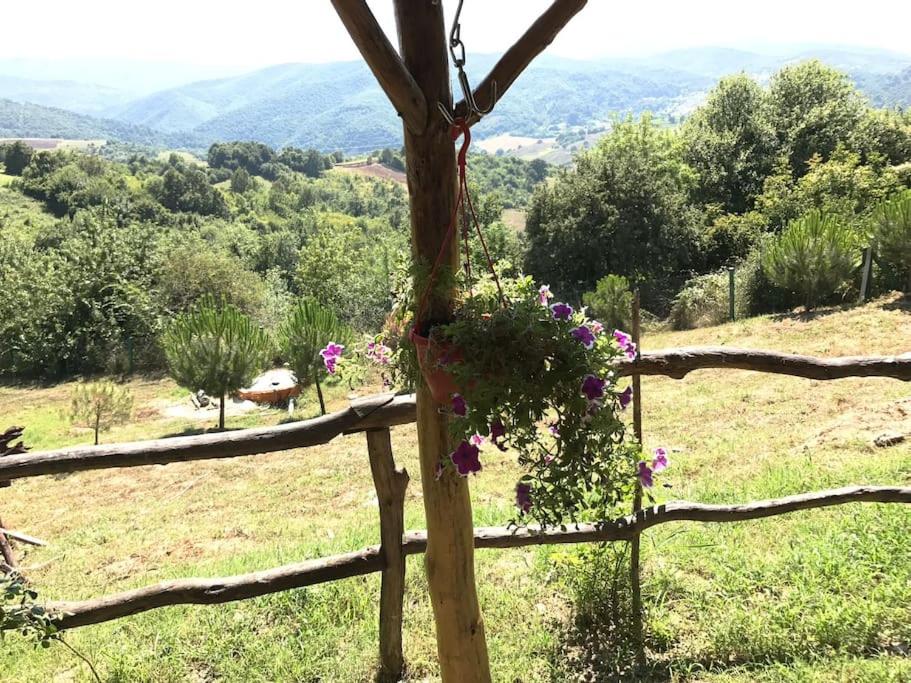 Perfect Natural Retreat With Large Pool - Housity