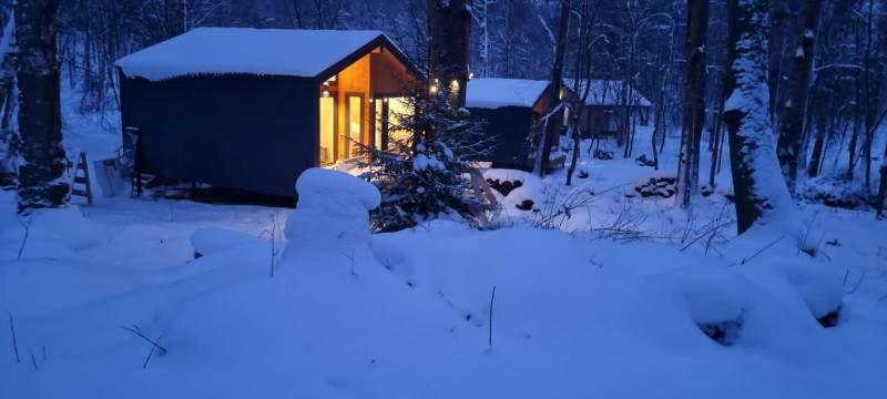 Загородный клуб Ромашка - Housity