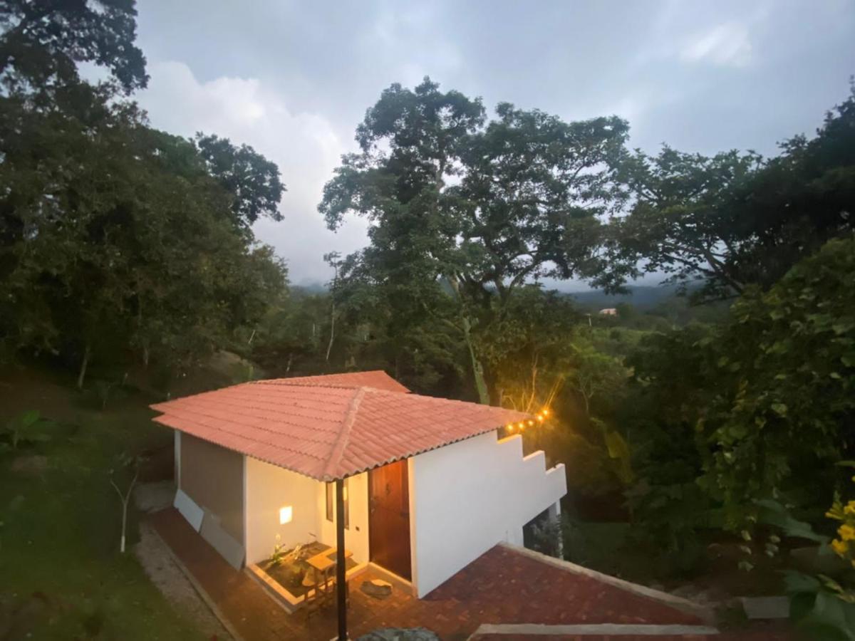 Reserva de Gomalu - Housity