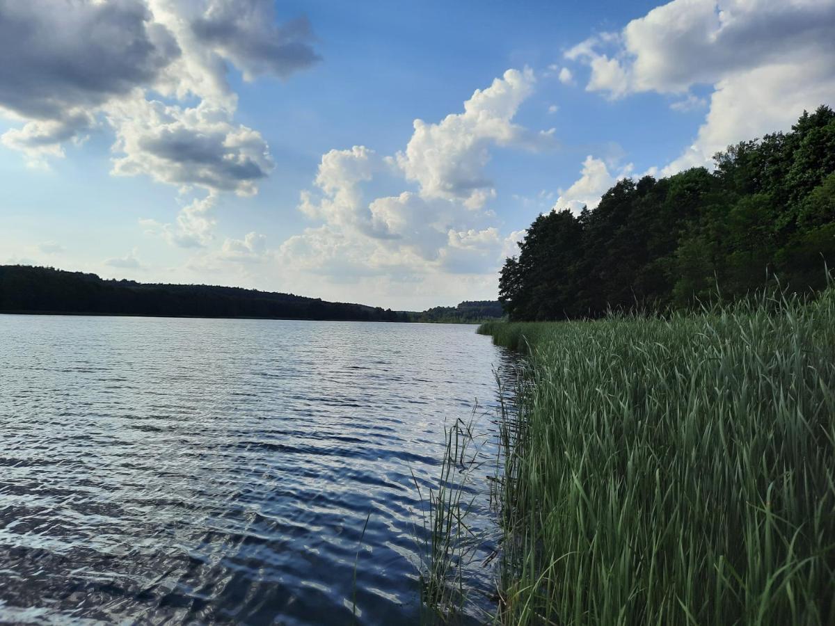 Lake view brodnica - Housity