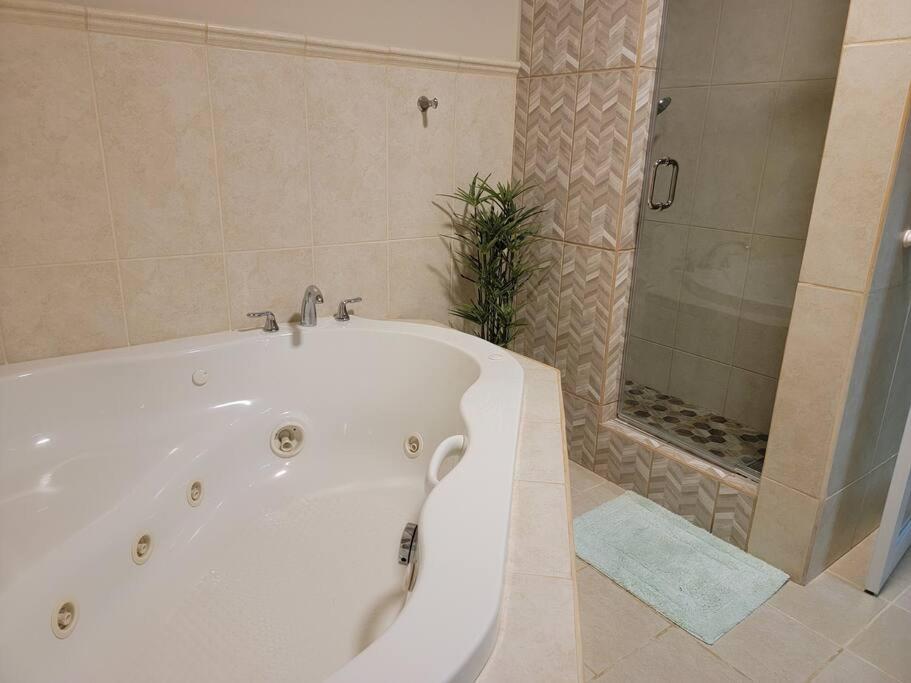 Suitetrails - Private Beachfront House