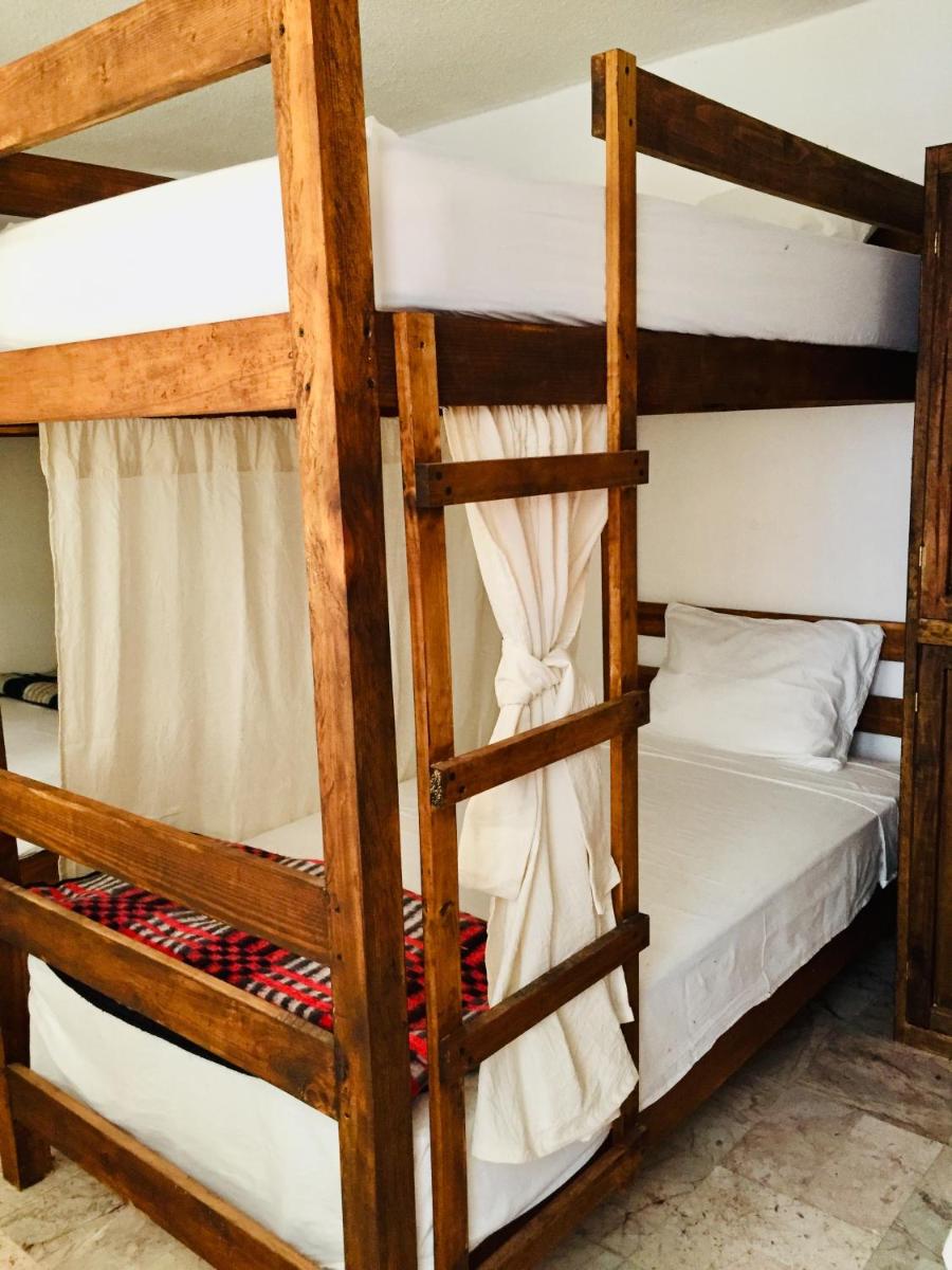 Hostel Frida Bed & Breakfast - Housity