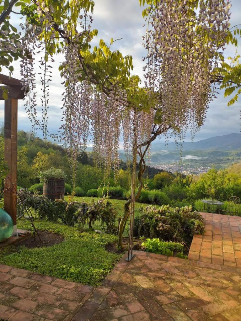 Magic view - Housity