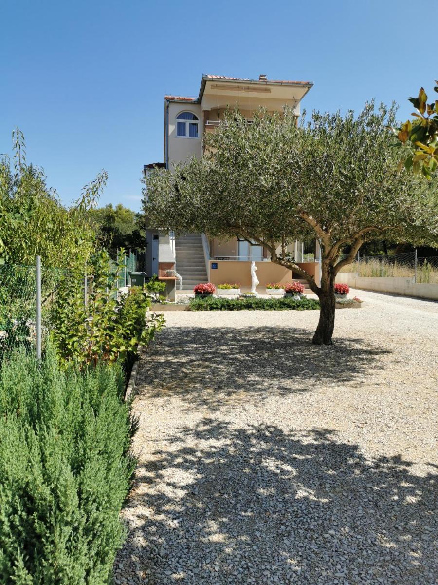Apartment Alena - Housity
