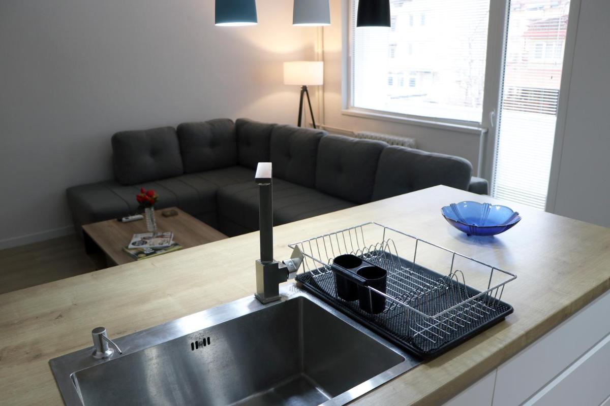 Spacious modern apartment Kisela Voda - Housity