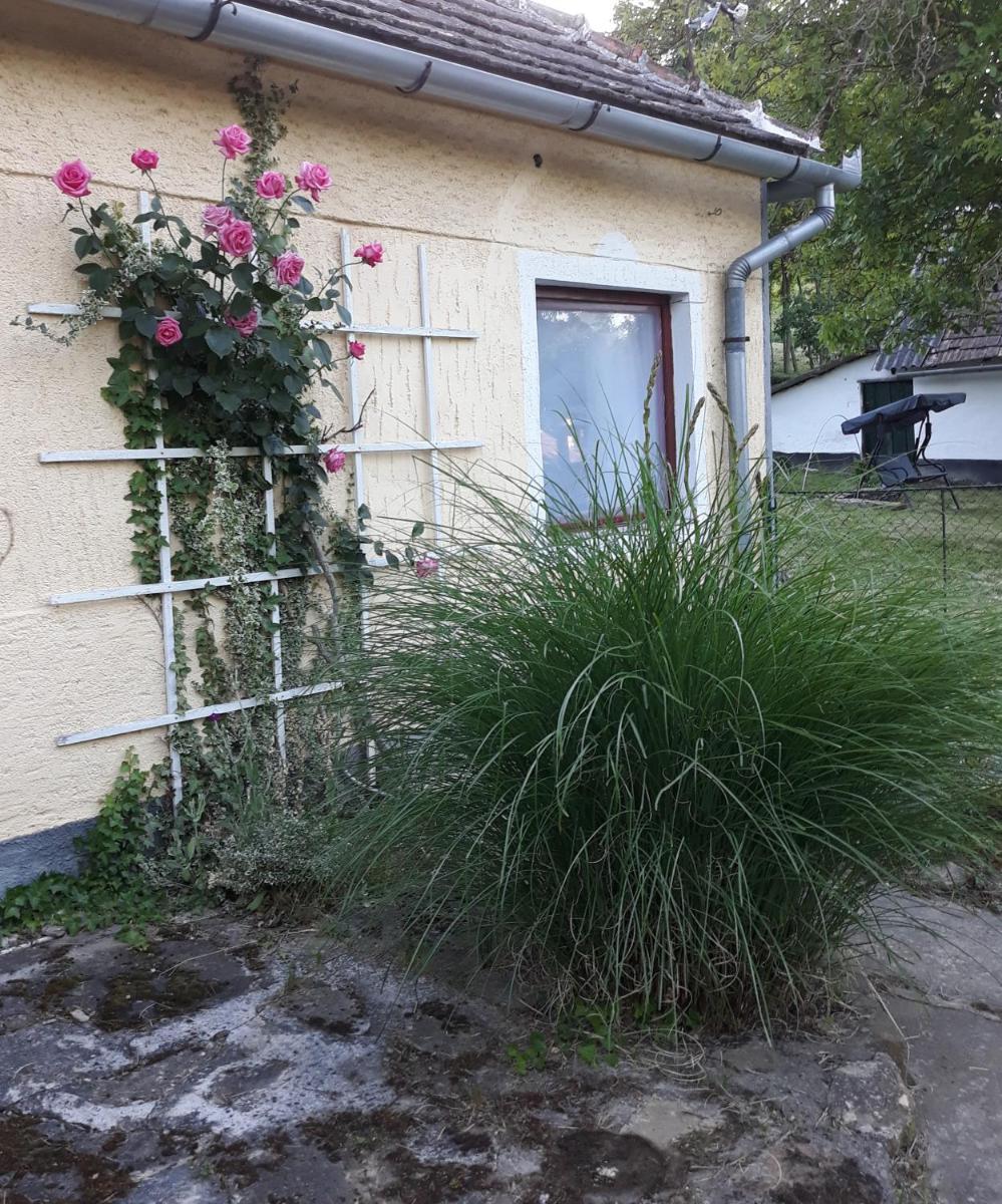 Aranyodi Pihenő - Housity