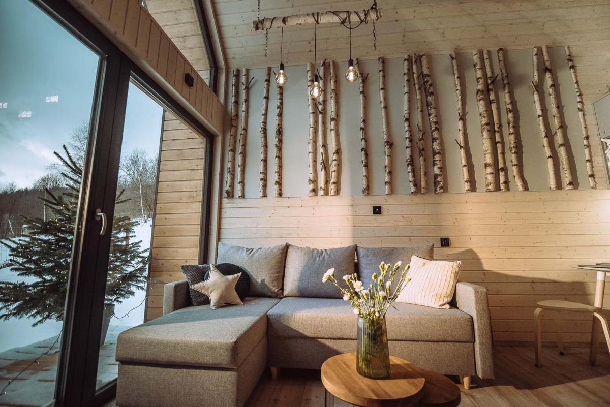 Czill-Lokum- klimatyczna chata w Beskidach - Housity